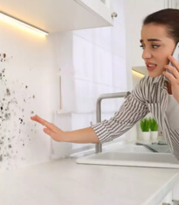 Selling a House As-Is with Mold in Los Angeles