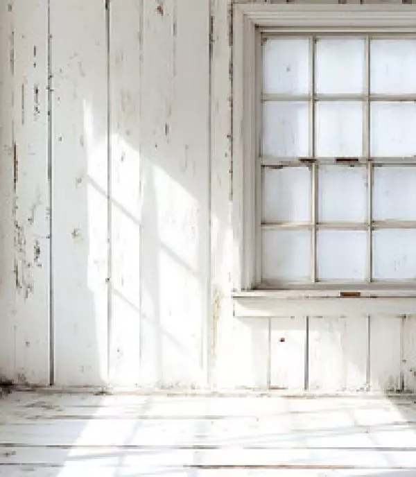 A Guide to Navigating Major Home Repairs: Water, Termite, & Mold