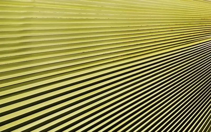 Converging yellow lines meeting at one point