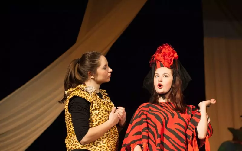Two performers in costume on a lit stage